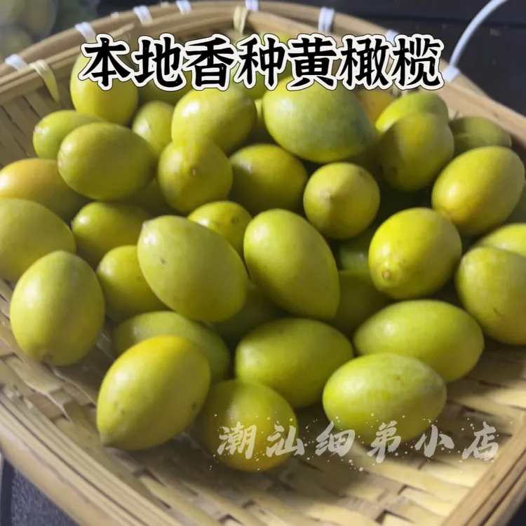 潮汕金灶本地老树香种黄橄榄 甘香少渣 新鲜现摘一斤装