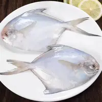野生银鲳鱼 肉质细嫩 一包一斤  一包5条 到手5包