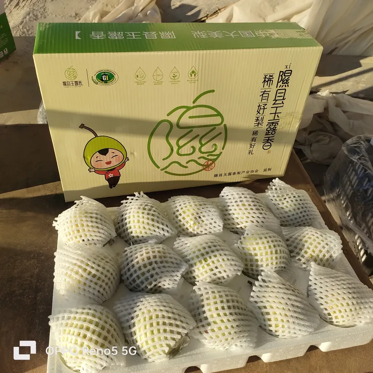 15颗幼果装，每颗6俩±，盒净重8.5斤左右