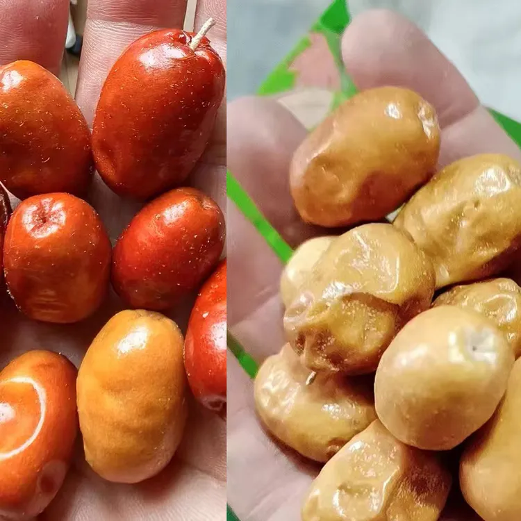 直发沙枣新疆特产和田原味大沙枣干净零食非红枣泡茶煲汤即食