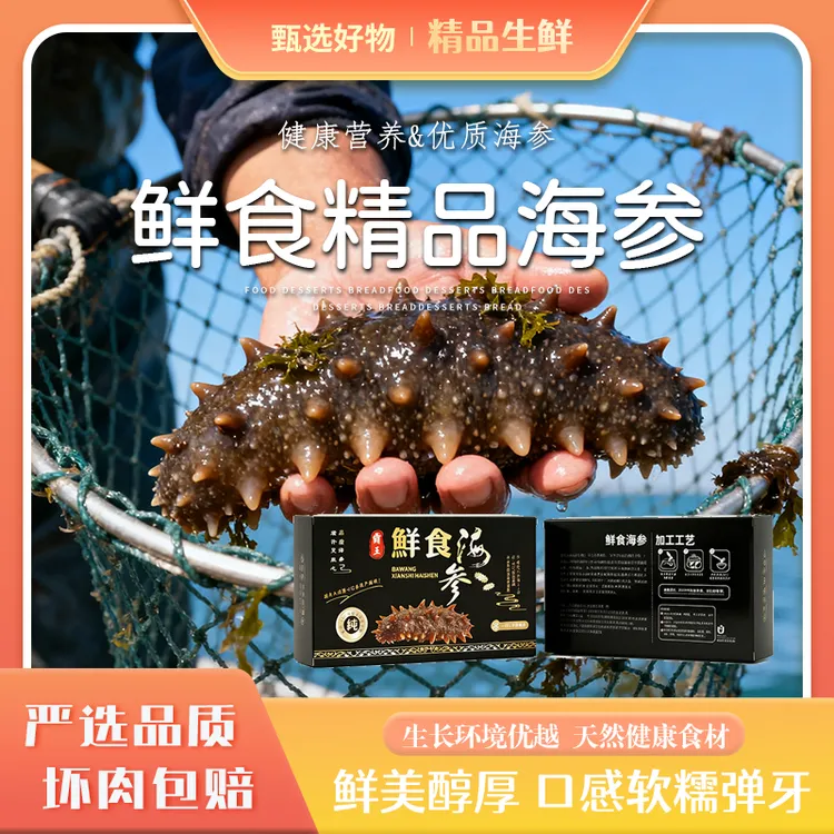 【连云港鲜食海参】6-10头巨大个500g纯淡海参滋补刺参第二单0元