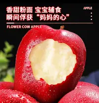 【中秋福利】甘肃老树花牛苹果3-10斤大果包邮，粉糯香甜