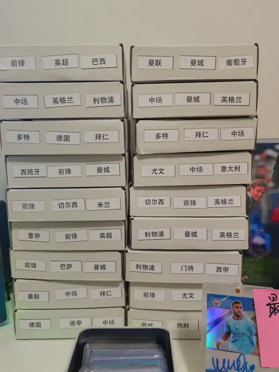 保签字物料词条盒！！词条一真一假！
