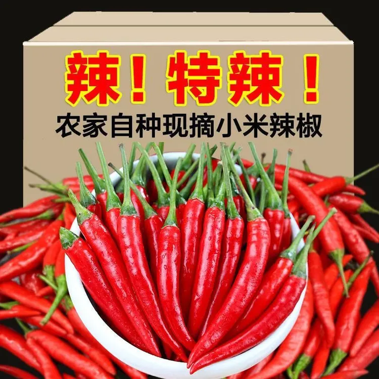 JD【新鲜】小米辣椒特辣巨辣朝天椒现摘现发调味蔬菜红辣椒-七七