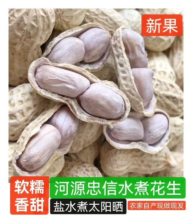 2025（当季鲜果）河源忠信水煮花生好吃不上火有韧性有嚼劲
