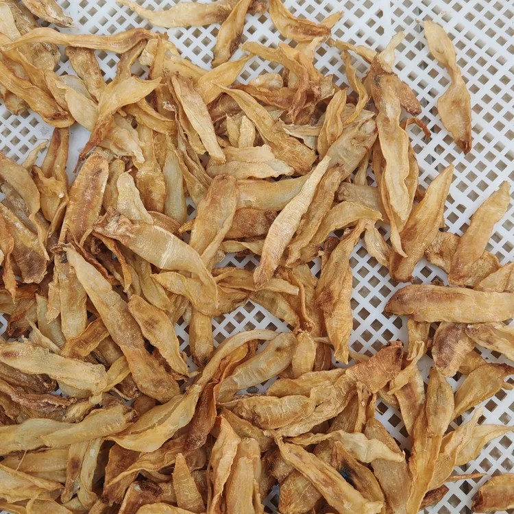 渔民自晒黄花鱼的鱼漂，足干老胶，390头