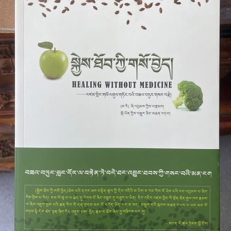 非药而愈 美 徐嘉 著 高云 译注