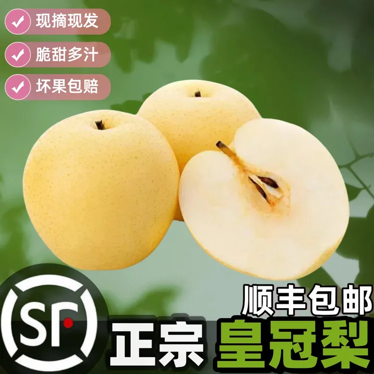 【顺丰】河北皇冠梨产地直发当季新鲜梨子水果整箱批发雪梨脆甜多汁