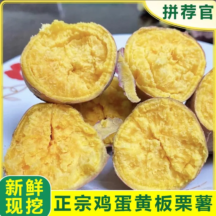 新鲜现挖红心黄心蜜薯干面红薯高原软糯红薯