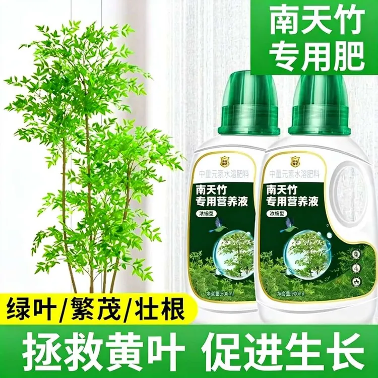 南天竹浓缩营养液花肥黄叶落叶火焰南天竺专用肥水培营养水溶肥