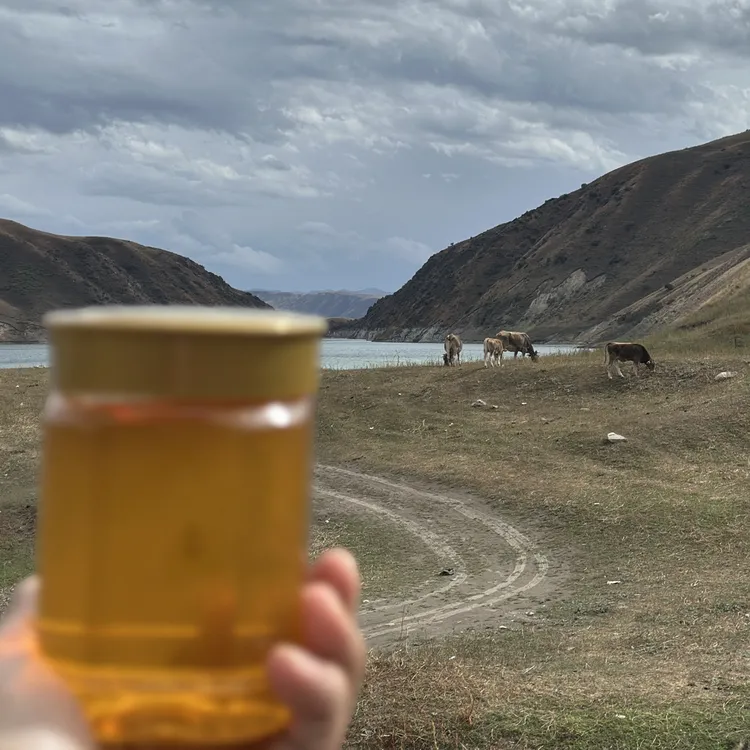 1斤新疆伊犁正宗百花野山峰蜜蜂农家天然无添加 卖完就没有了