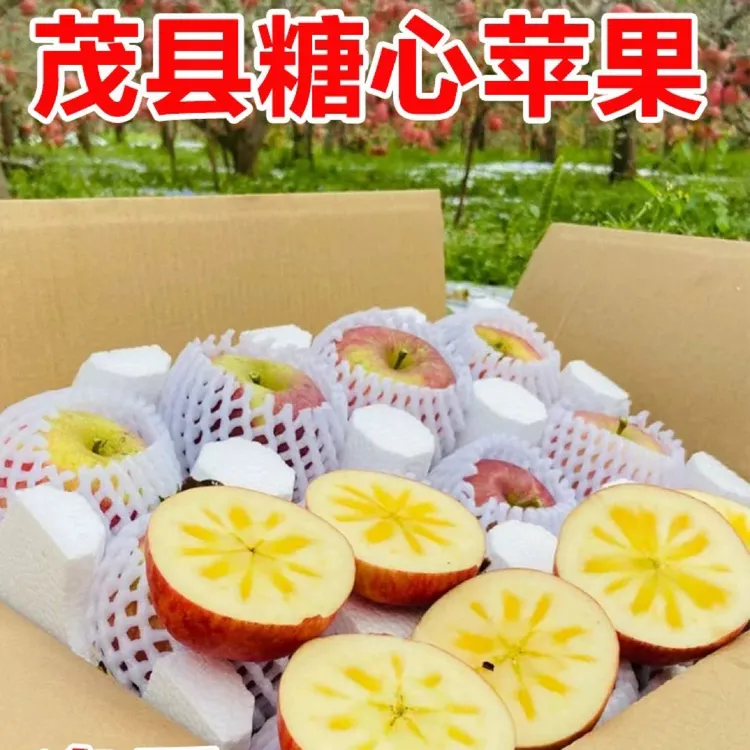 阿坝州苹果小金理县汶川茂县苹果九寨沟冰糖心四姑娘山小王子泸定