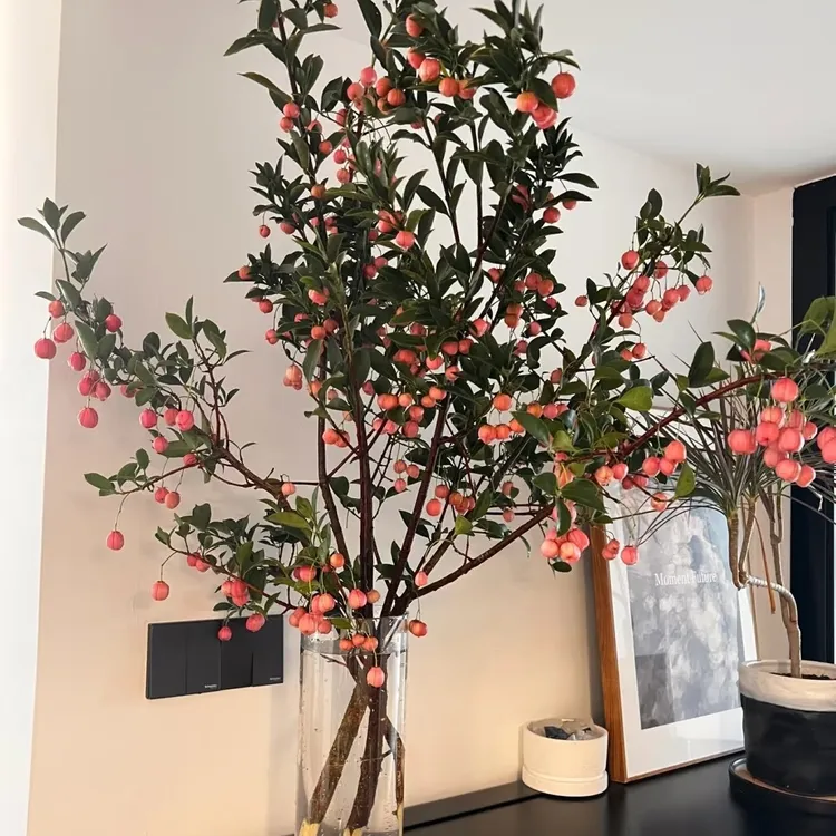 云南鲜花灯笼果鲜切花适合家居客厅书房摆放作观赏花瓶摆件
