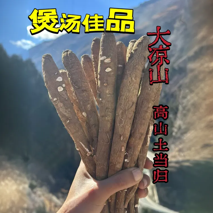 【干货】现收山货 大凉山高山当归 甜当归 煲汤煮水佳品