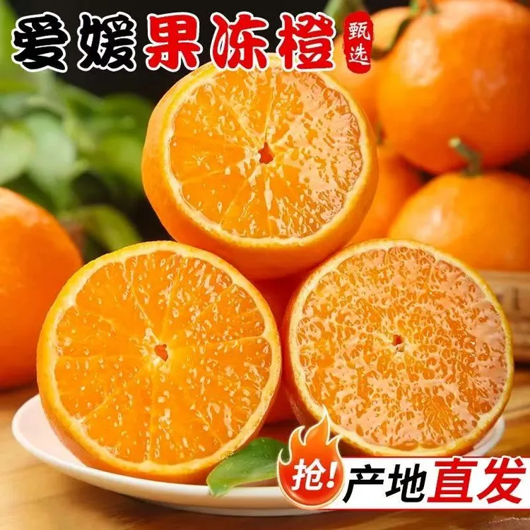 Z6正宗四川爱媛38号果冻橙新鲜现摘香甜多汁无籽无渣产地应季水果