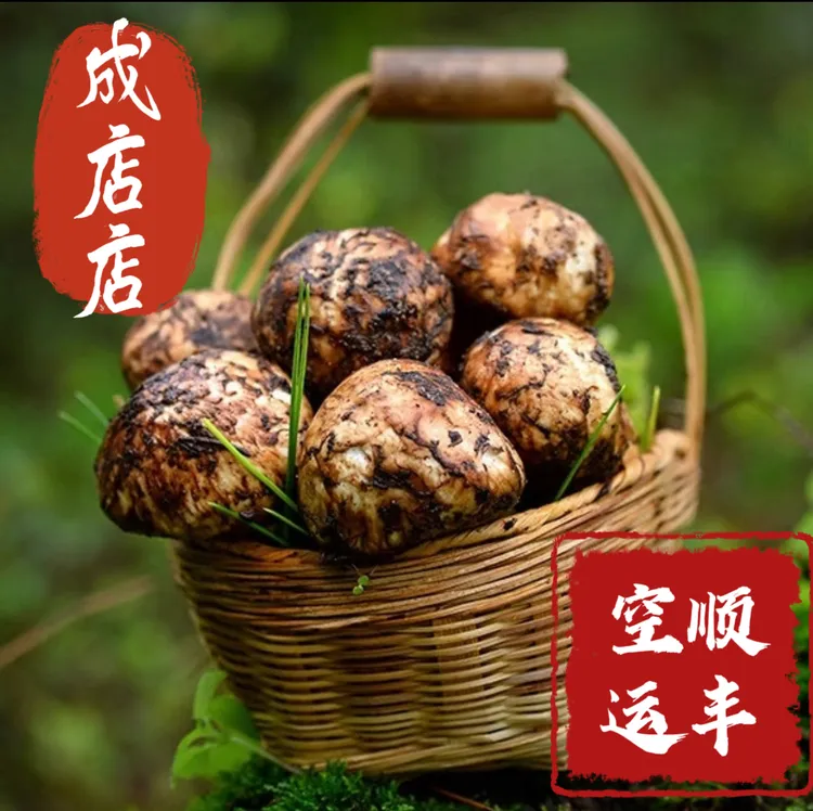 【顺丰空运】松茸鸡枞菌七彩菌菇汤包鹿茸菇羊肚菌干巴菌见手青榴莲
