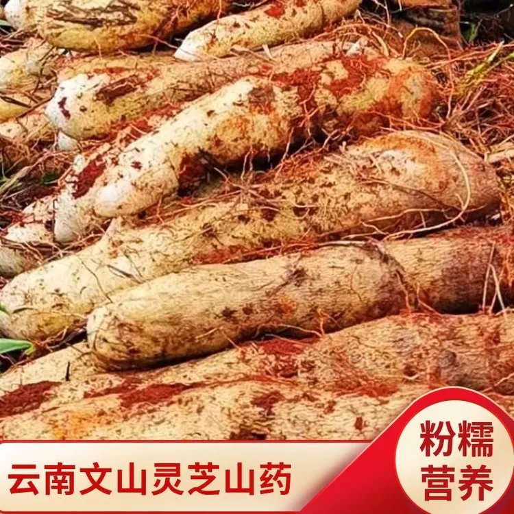 【云南特产】灵芝山药新鲜粉糯非铁棍秤砣淮山小白嘴蔬菜9/5/3/1斤
