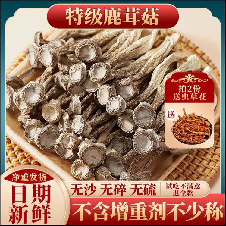 鹿茸菇新鲜鹿茸菌虫草花脆嫩爽口煎炒煲汤味美鲜香老少皆宜家常菜