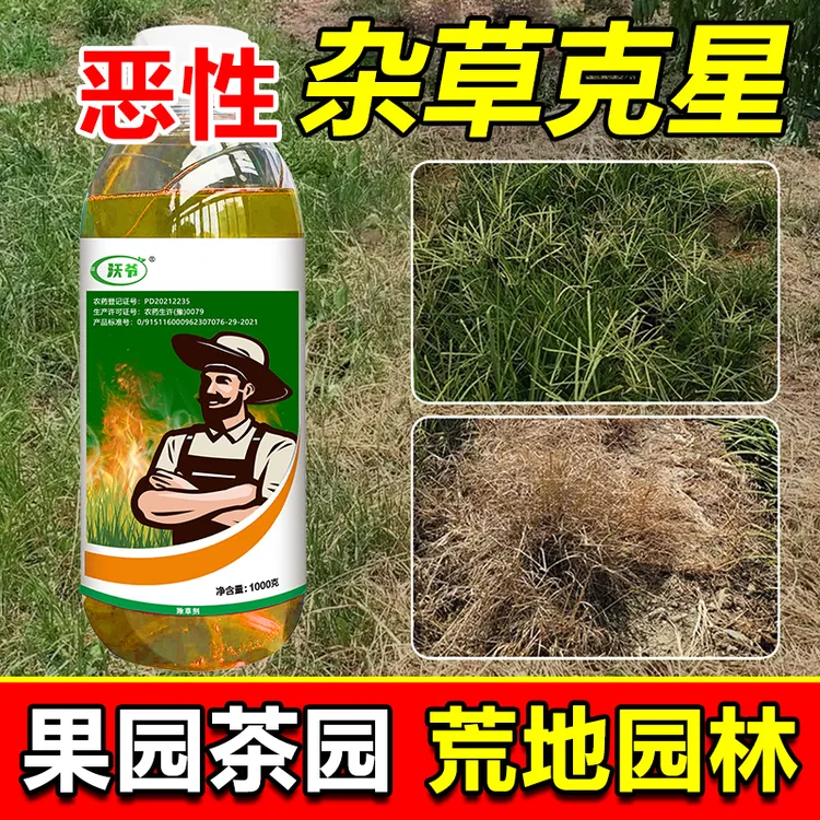 精草铵膦铵盐除草剂果园荒地牛筋草小飞蓬等恶性杂草内吸传导除草