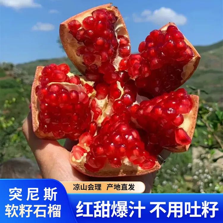 凉山直发正宗四川会理突尼斯软籽石榴爆甜现摘新鲜水果产地直发