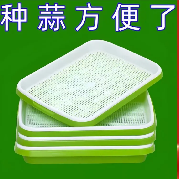 水培蒜苗专用蒜苗盘种蒜神器育苗盘【能种蒜苗,能种芽苗菜】