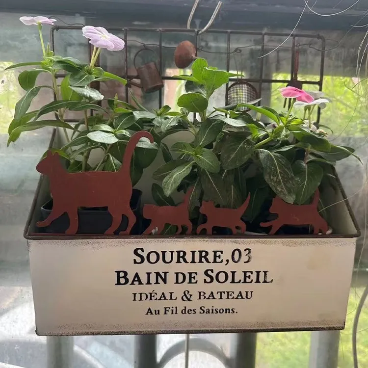 猫咪一家园艺花插做旧装饰摄影阳台门窗帘