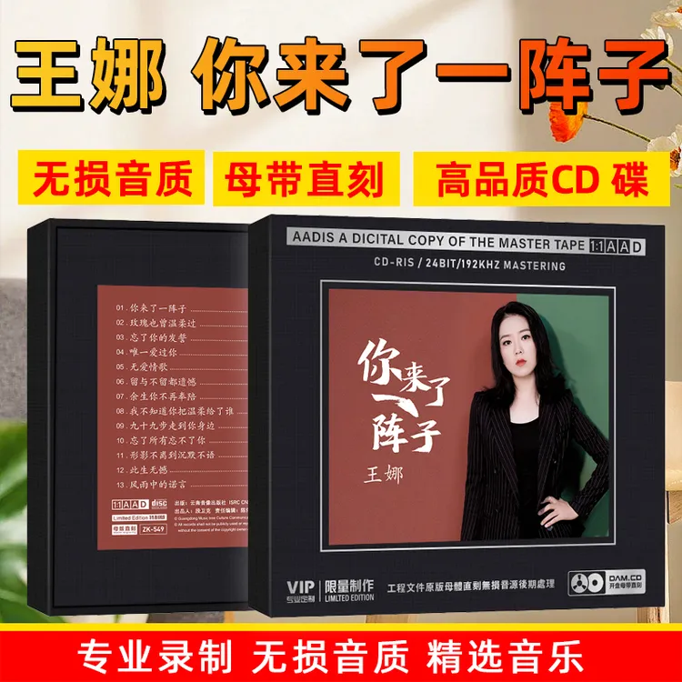 王娜CD光盘热门流行歌曲你来了一阵子1:1母盘直刻发烧CD碟片