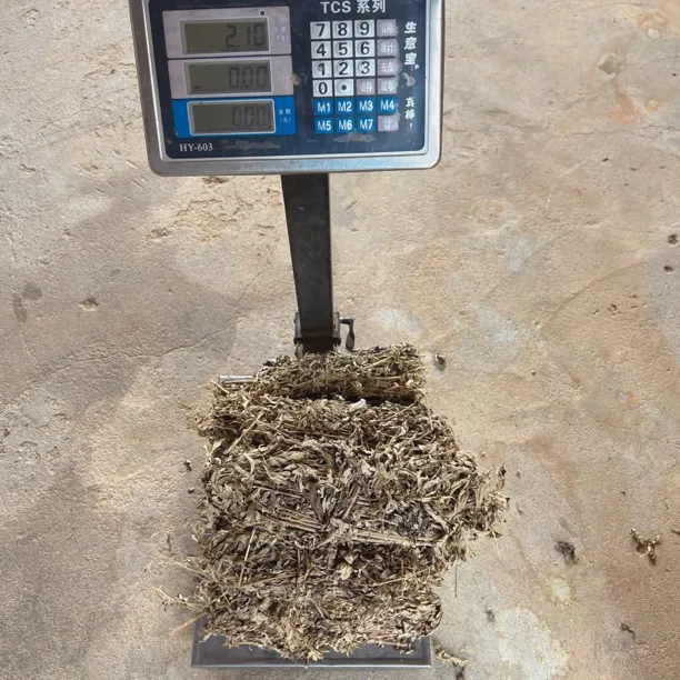 2斤装 三年陈艾草 蕲艾草 整棵折成捆的 适合煮水洗澡泡脚洗头