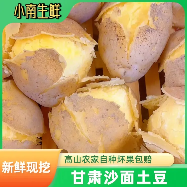 2025甘肃定西沙面黄心土豆现挖现发新鲜果蔬好吃