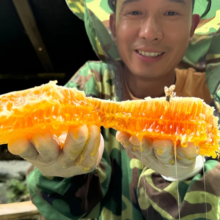 正宗北川大山土蜂蜜圆桶蜜农家自产百花蜜一年只取一次500g