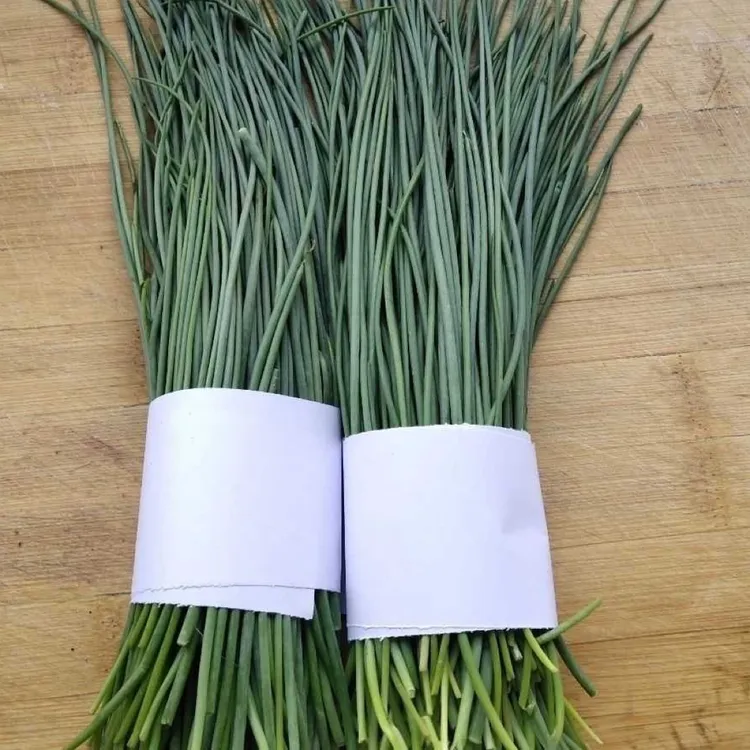 顺丰包邮民勤新鲜蔬菜沙葱1/2/3/5斤农产品新鲜火锅食材保鲜发货