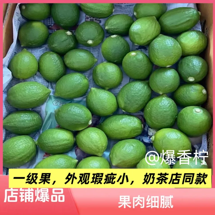 （一级果）广东香水柠檬新鲜现摘泡水无籽多汁果香正宗无籽香水柠檬