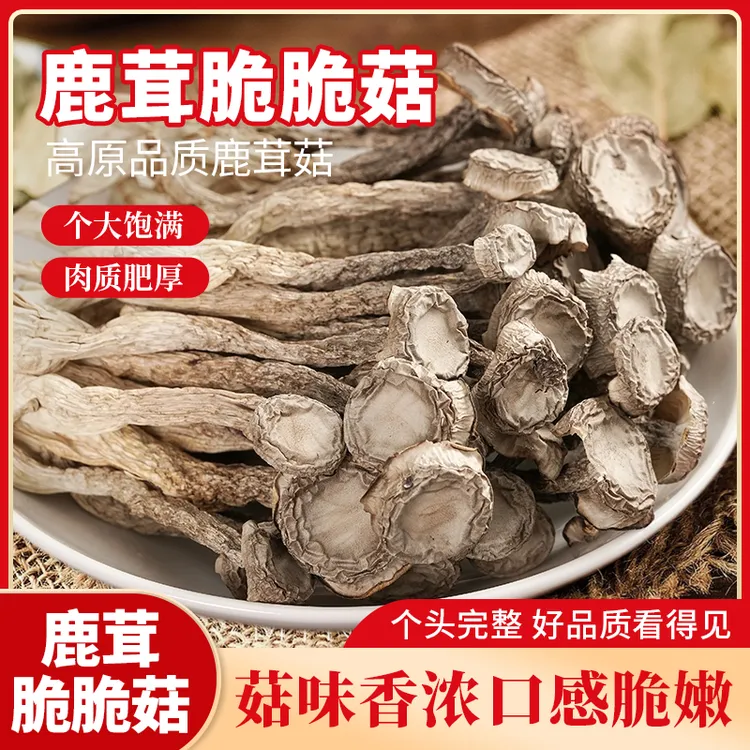 【鹿茸菇】无硫干货肥厚炒菜炖煲鸡汤鲜美炒肉营养美味炖汤鲜香50g