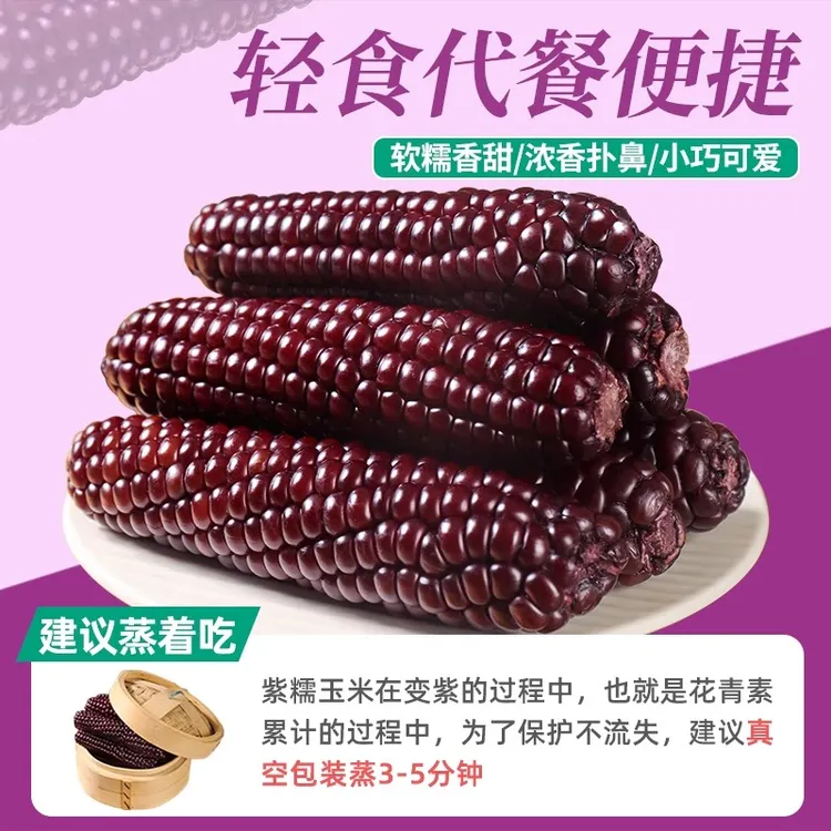 富含花青素紫糯玉米新鲜美味代餐佳品