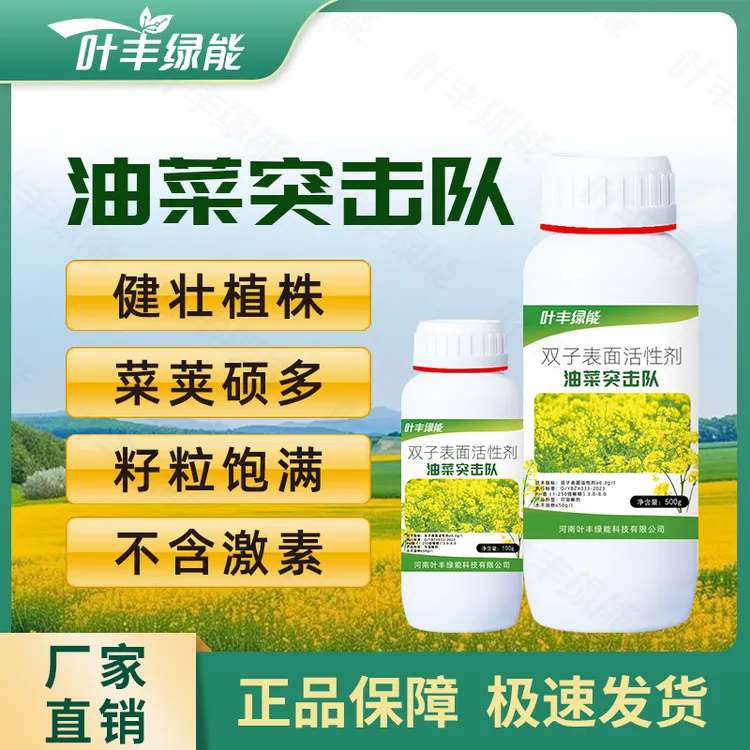 叶丰绿能油菜突击队工厂直发降低病害植株健壮绿色无激素高产肥料