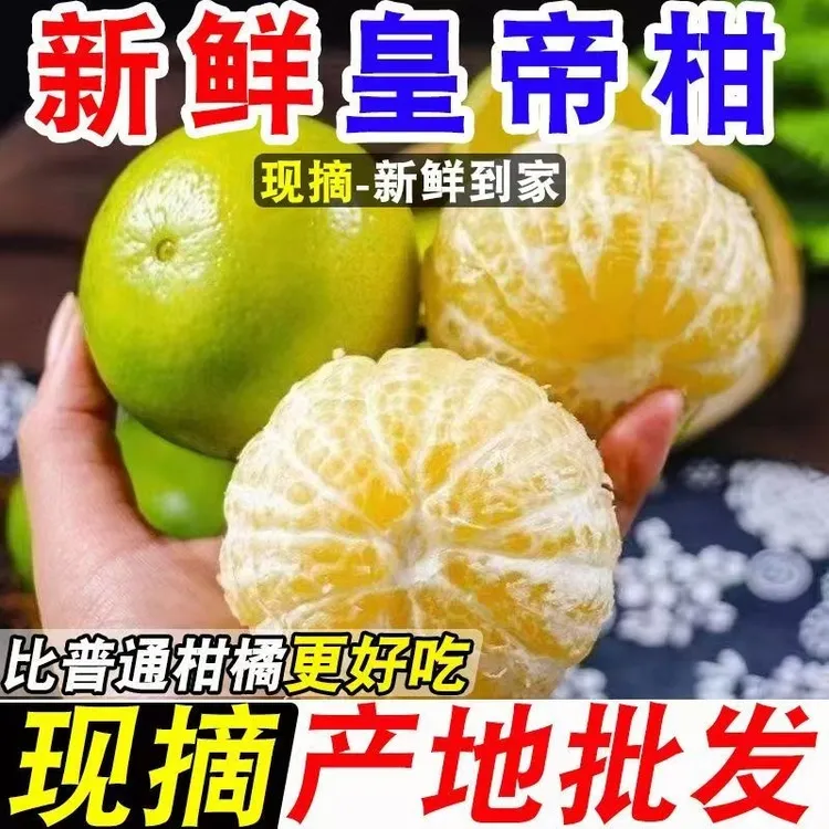 【坏果包赔】广西武鸣皇帝柑5/9斤新鲜水果当季正宗贡柑黄帝柑