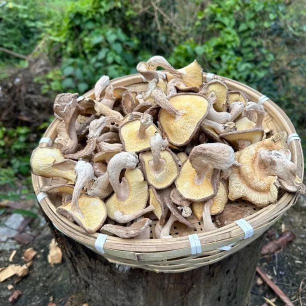 农家山货 高山香菇 土香菇.