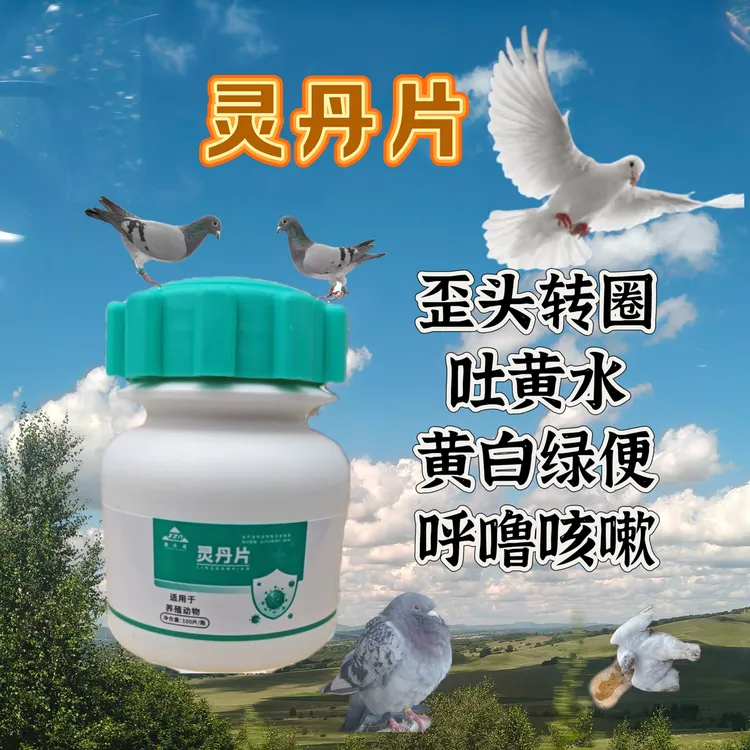 灵丹片片剂:鸽子鸟甩吐扭头黄白绿水便打蔫呼噜咳嗽鸽药止吐正品