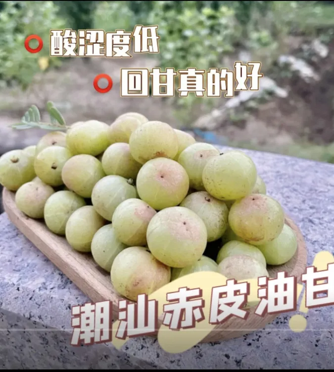 潮汕雷岭赤皮油甘果回甘煲汤榨汁孕妇包邮新鲜当季水果
