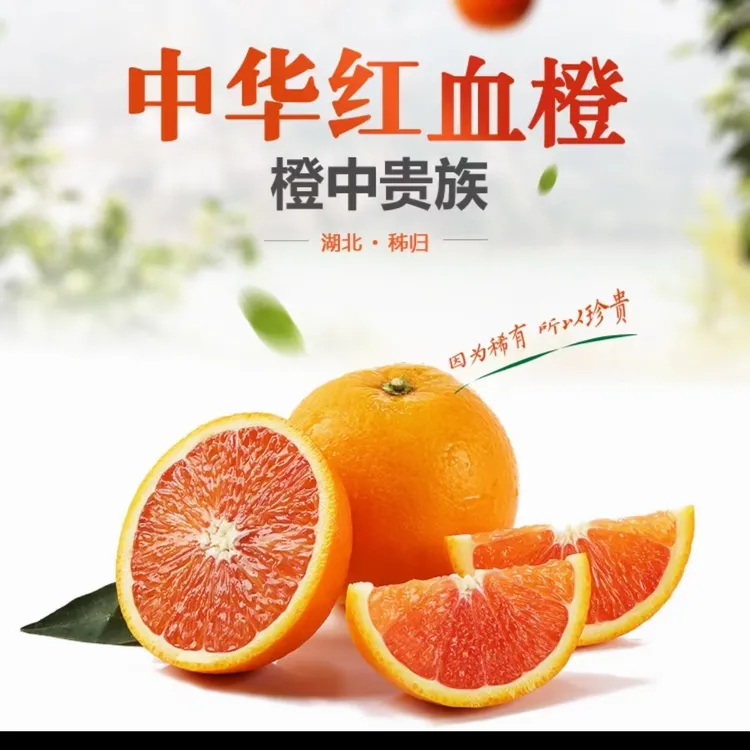 秭归脐橙原产地中华红血橙