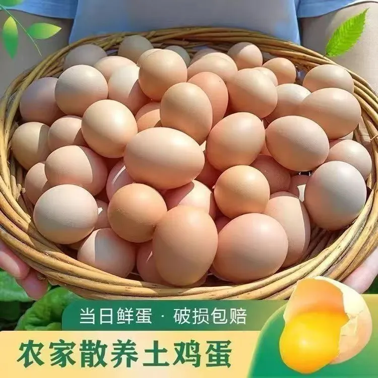 竹林蛋土鸡蛋30枚净重1350g营养土鸡蛋 产地直发 顺丰到家