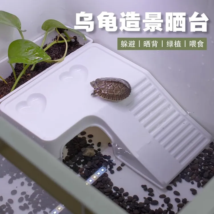 乌龟晒台爬台养乌龟专用造景爬宠晒背喂食爬台浮台乌龟躲避休息屋