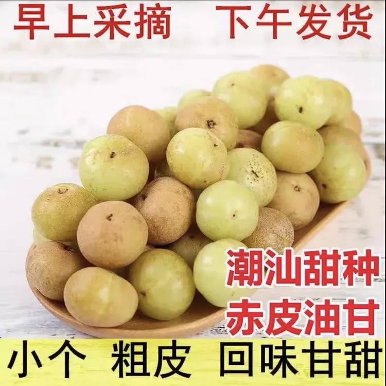 潮汕金灶赤皮油柑小个粗皮油柑酸涩度低回甘好煲汤榨汁2斤起拍