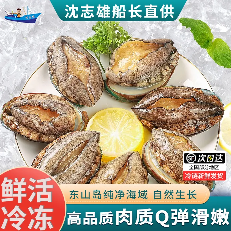 12个皇金鲍鱼 7公分左右/个 福建东山岛澳角村深海鲍鱼 新鲜速冻