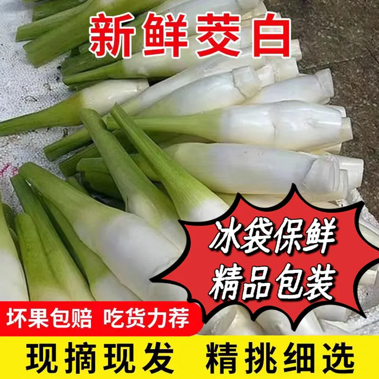 浙江茭白现摘当季农家时令新鲜带壳茭瓜高笋水笋茭笋蔬菜鲜嫩爽口