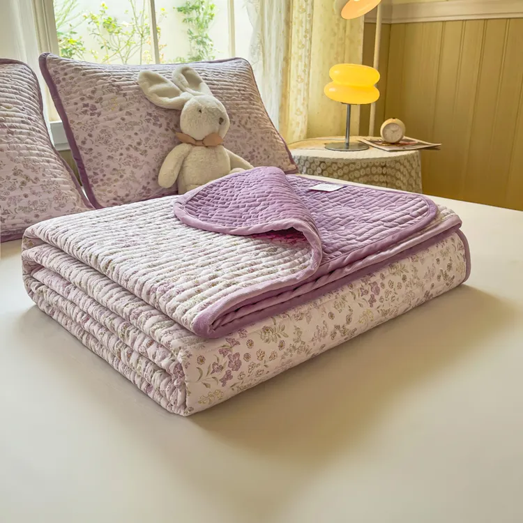 云朵棉加绒床盖宝宝绒双面可用夹棉床盖牛奶绒学生床垫加大炕盖毯