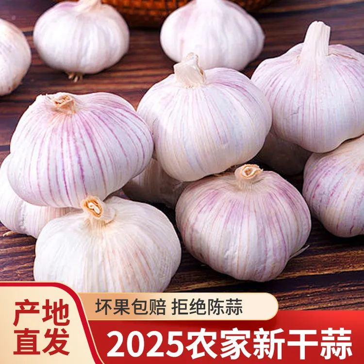 2025农家自种优质紫白皮大蒜可吃可种产地直发大蒜头紫皮蒜头