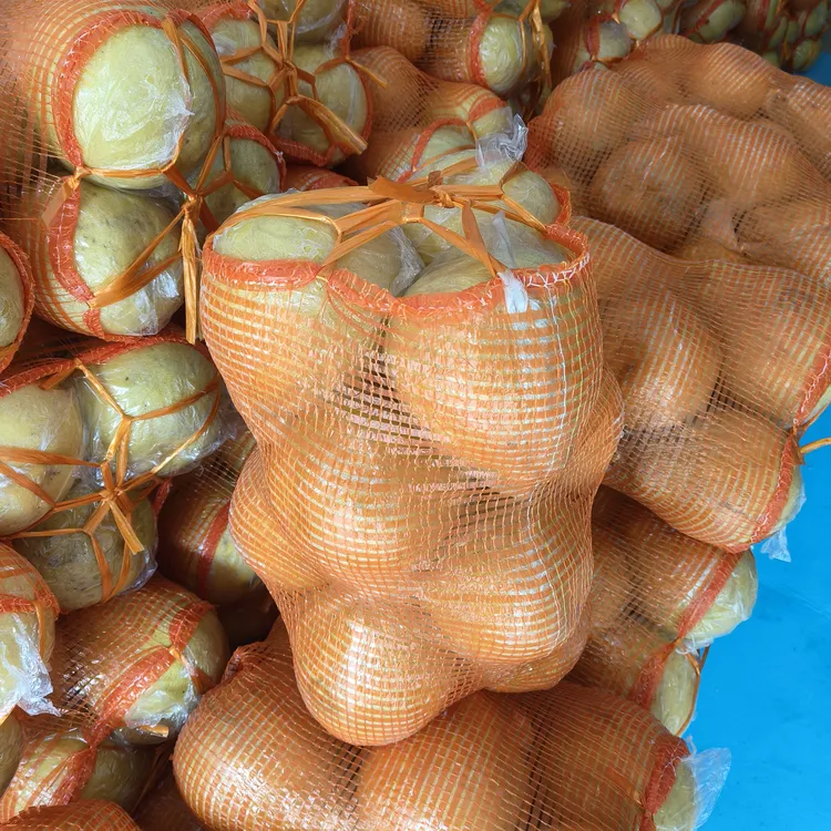 正宗广西容县当季新鲜沙田柚多汁清甜顺丰包邮