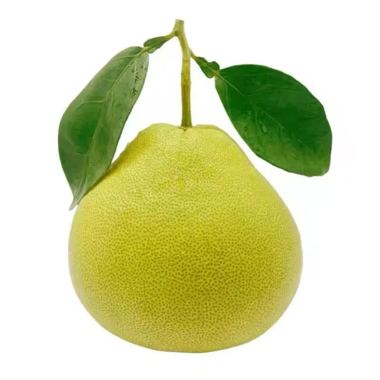 福建仙游度尾文旦柚红心柚子新鲜应季时令水果酸甜多汁无孔精品果