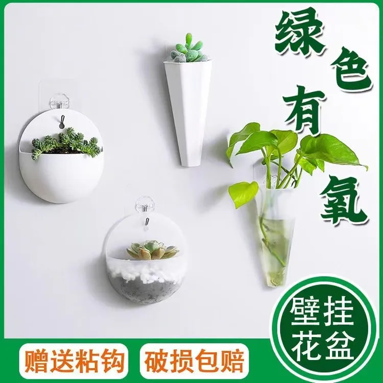 批发送挂钩塑料懒人绿萝花盆墙壁挂架 水培悬挂式半圆插花瓶壁挂